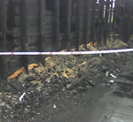 Vermiculite Removal Burn Job Vancouver BC